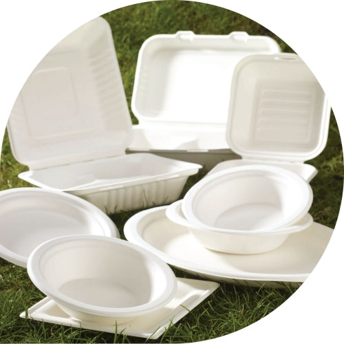 Why Bagasse Tableware Is Popular