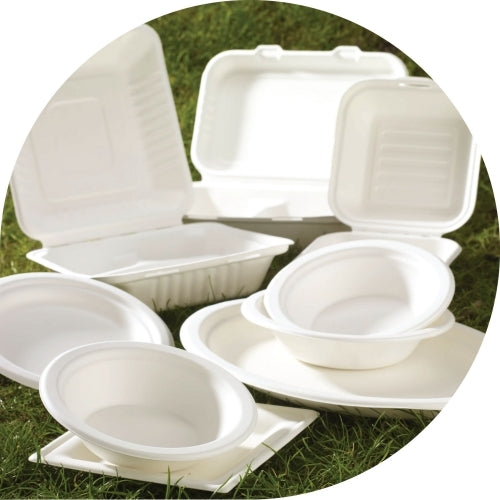 Bagasse Trays