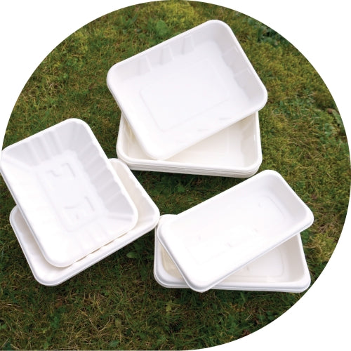 New Bagasse Trays