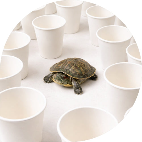 Non SUP Marked Paper Cups