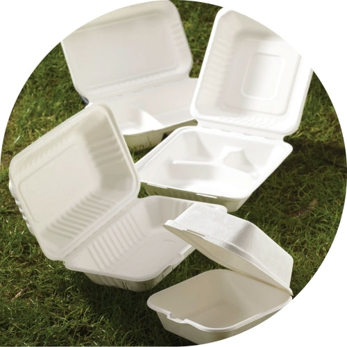 Bagasse Containers