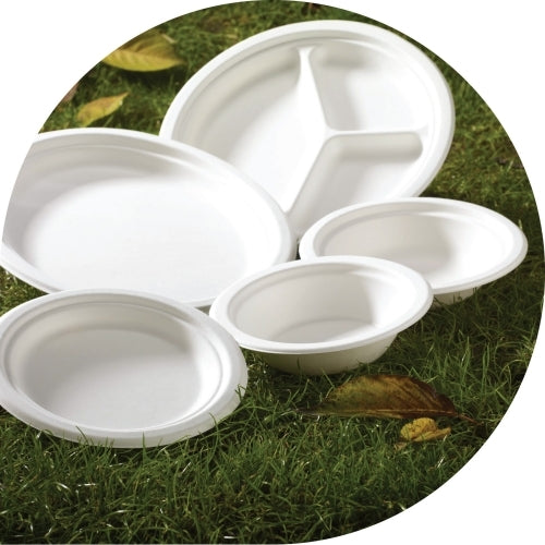 Oval Bagasse Plates
